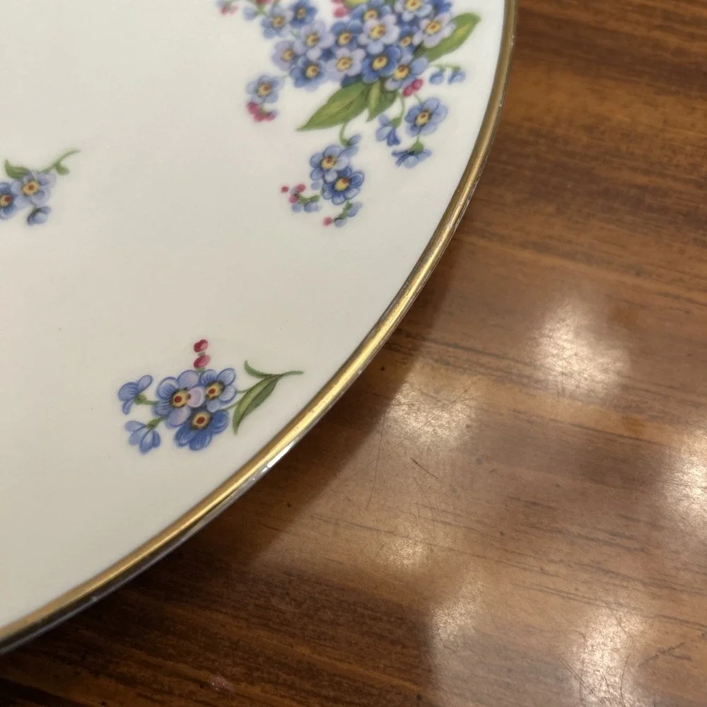 Tuscan Fine English Bone China Forget Me Not Plate 10‎ Inch